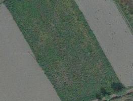 Terreno agricolo nel comune di viadana