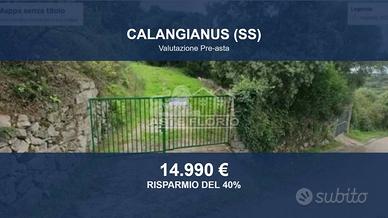 Immobile in asta di 768 m² a Calangianus