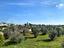 Immagine 24