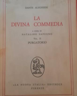 La Divina Commedia PURGATORIO