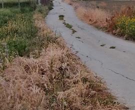 Terreno in contrada cannella