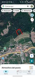 Bosco a ceola di giovo