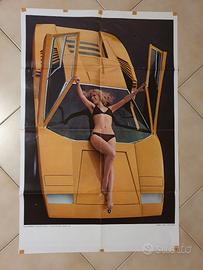 Poster  Lamborghini Countach