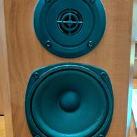 wharfedale posteriori sorround