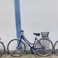 Bicicletta trek cosmos taifun