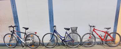 Bicicletta trek cosmos taifun