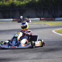 Telaio birel art