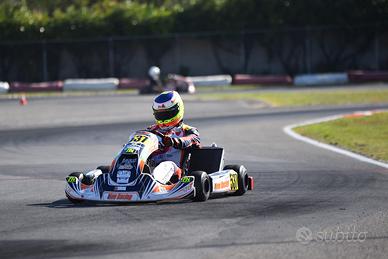 Telaio birel art