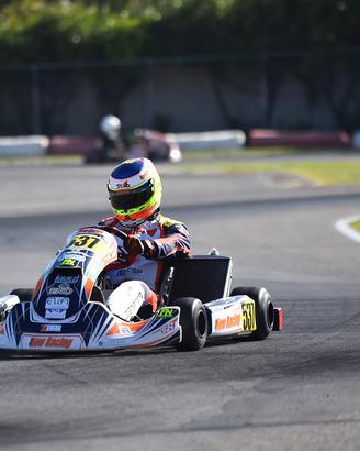 Telaio birel art