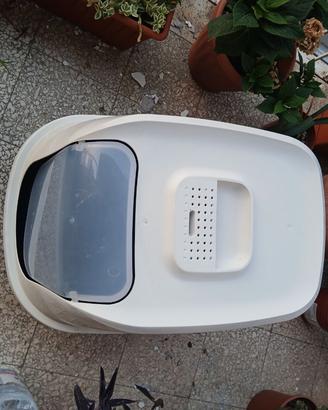 Toilette lettiera gatto