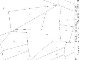 Terreni agricoli e da pascolo nove ettari