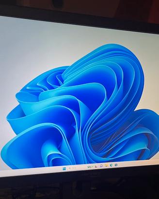 Monitor 24 pollici full hd.