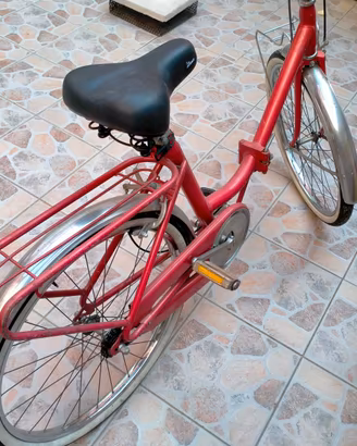 Bicicletta