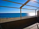 sul-mare-last-minute-clima-si-animali