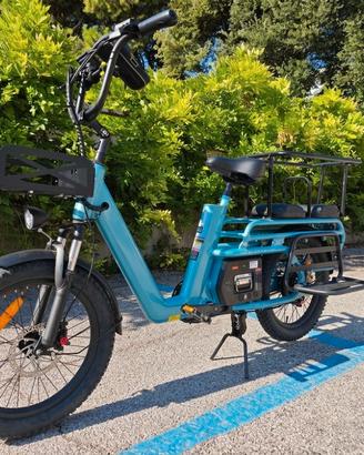 Cargo e bike 