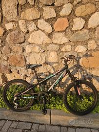 Bicicletta mtb 20 pollici bambino