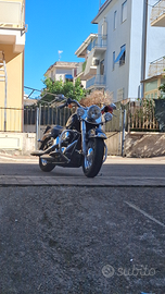 Vendita harley davidson