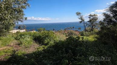 Terreno agricolo a 5 minuti dal mare