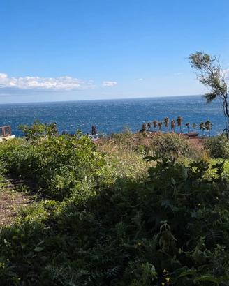 Terreno agricolo a 5 minuti dal mare