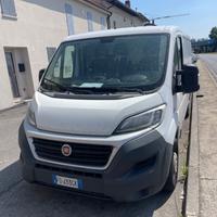 Ducato