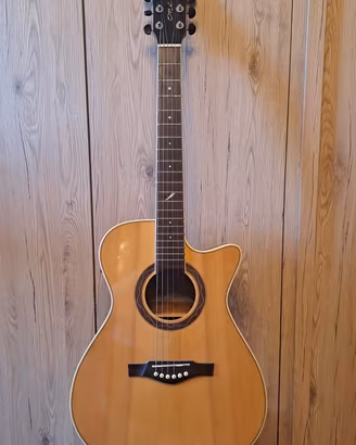 chitarra acustica eko one