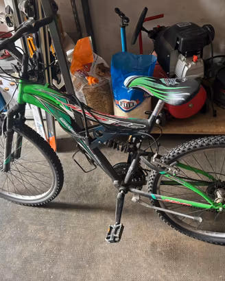 Bici per ragazzi ghiaroni