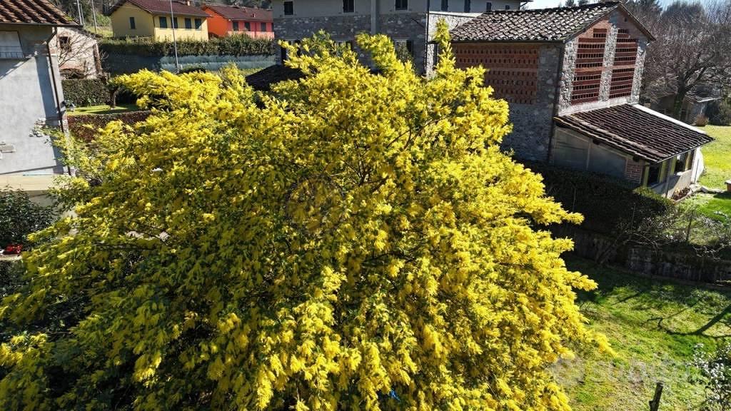 Casa – Pescaglia, San Martino in Freddana - Vista 4