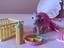 Immagine 1