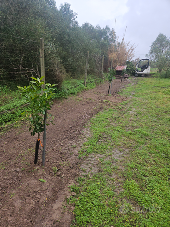 Terreno agricolo no edificabile