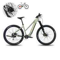 EBIKE ZHEPHIR VIKETORY
