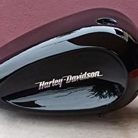 Harley Sportster Serbatoio Indian Larry Paughco 