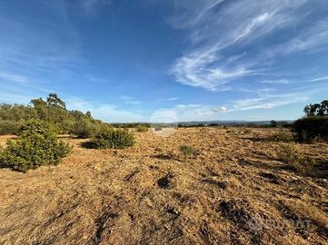 TER. AGRICOLO A ALGHERO