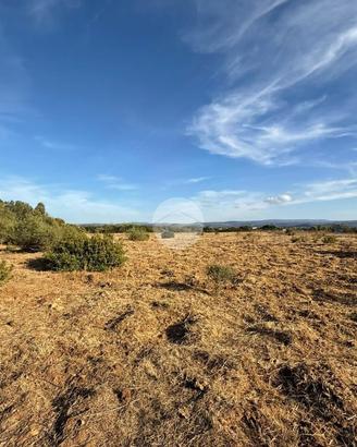 TER. AGRICOLO A ALGHERO