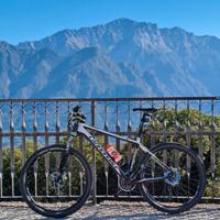 CANNONDALE FLASH CARBON RACING 