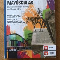 'LETRAS MAYUSCULAS' letteratura spagnola