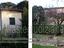 Immagine 7