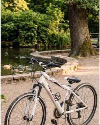 bici mtb ragazzo 24"