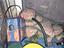 Immagine 3