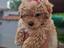 Immagine 1