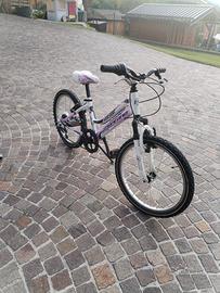 bicicletta