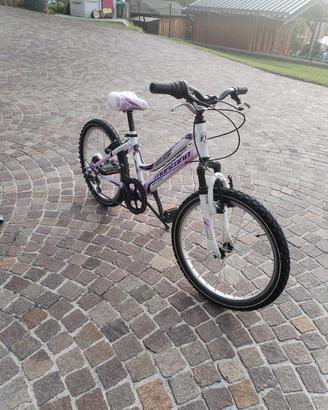 bicicletta
