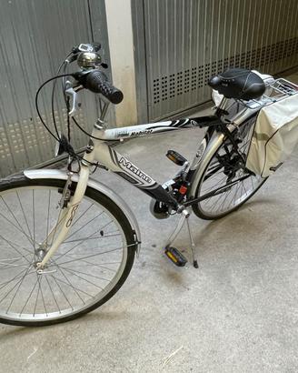 Citybike uomo