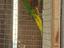 Immagine 2