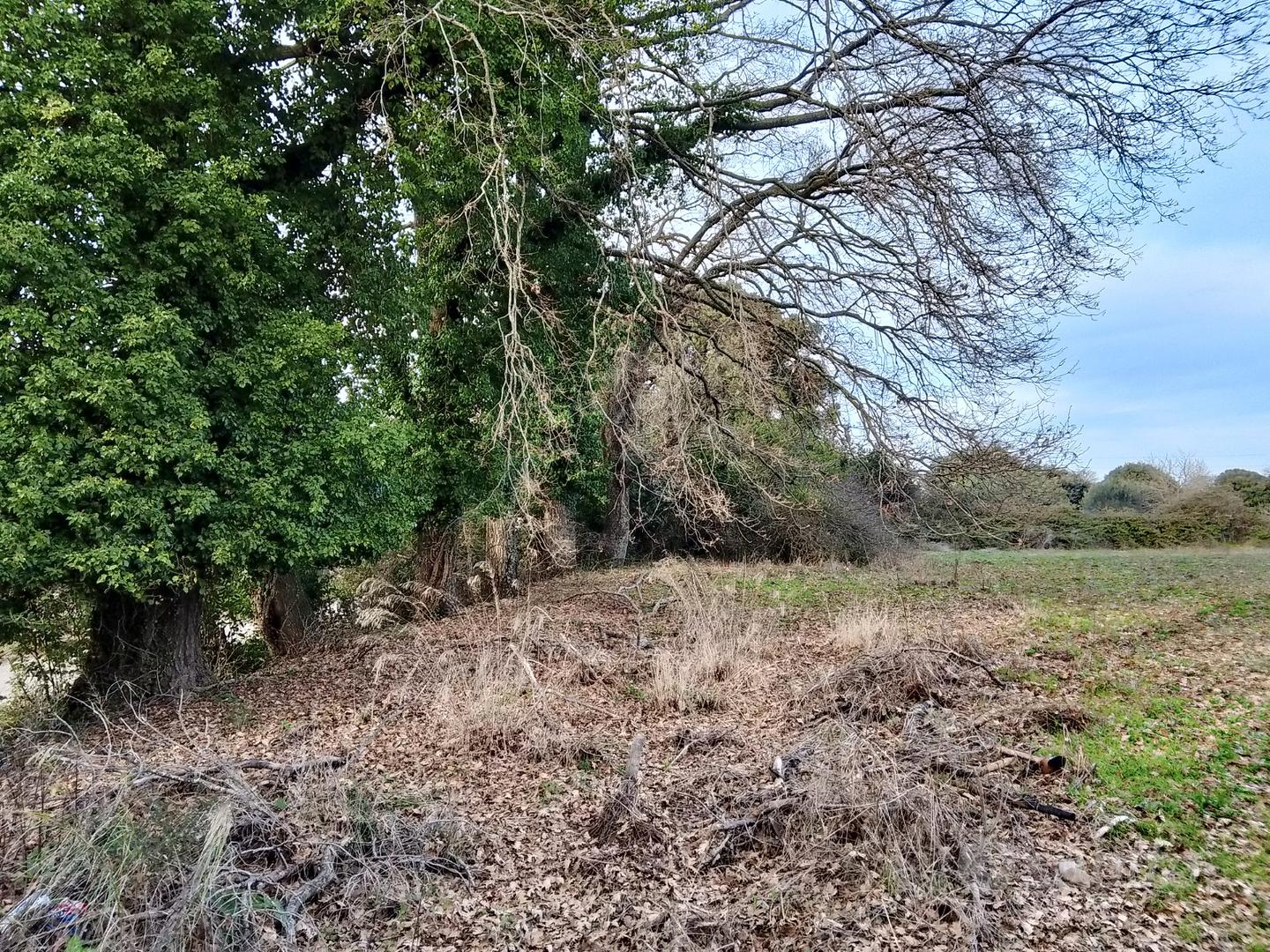 Terreno Agricolo - Vista 2