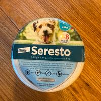 Collare taglia piccola/ media