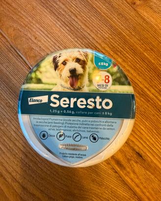 Collare taglia piccola/ media