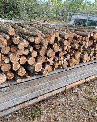 LEGNA DI ACACIA O QUERCIA IN STANGA