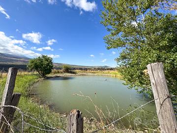 Terreno Agricolo di 4 Ettari + abitazione di 50mq