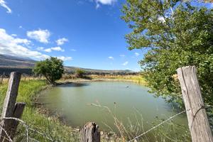 Terreno Agricolo di 4 Ettari + abitazione di 50mq