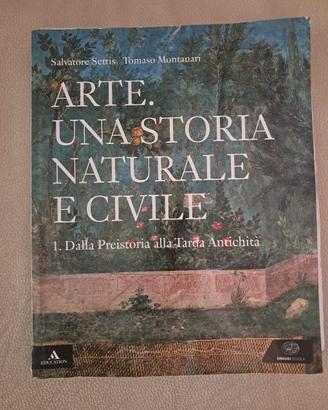 Arte una storia naturale e civile 